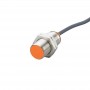 IFM Индуктивный датчик igs250 IFM Индуктивный датчик igs250
